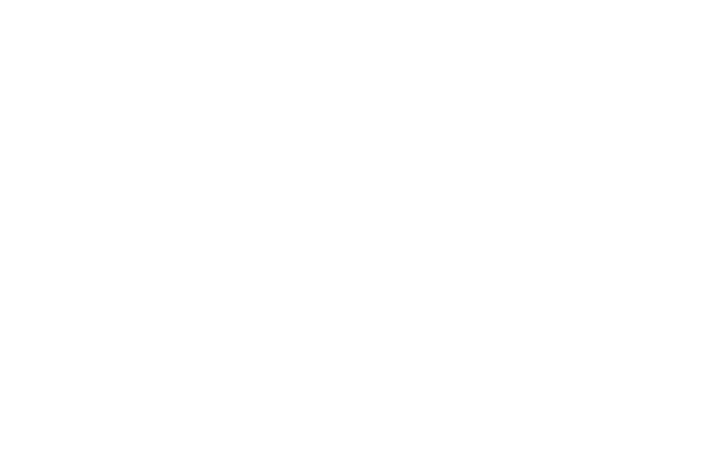 合作伙伴體系